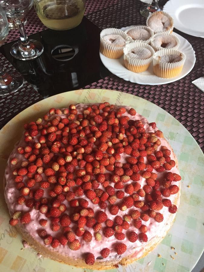 Pensiunea Jojo Băile Herculane Buitenkant foto