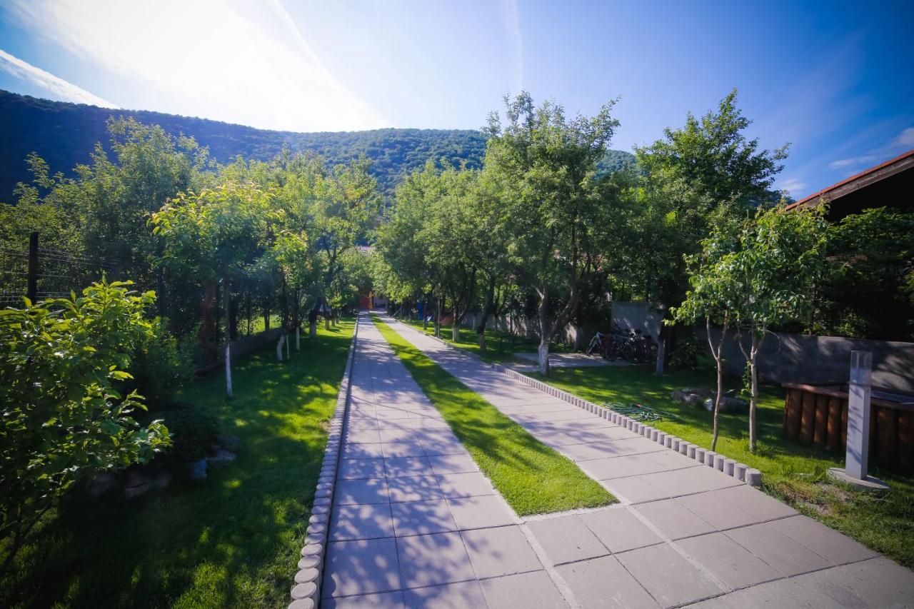 Pensiunea Jojo Băile Herculane Buitenkant foto